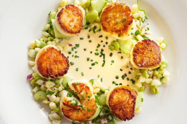 Seared scallops on a plate